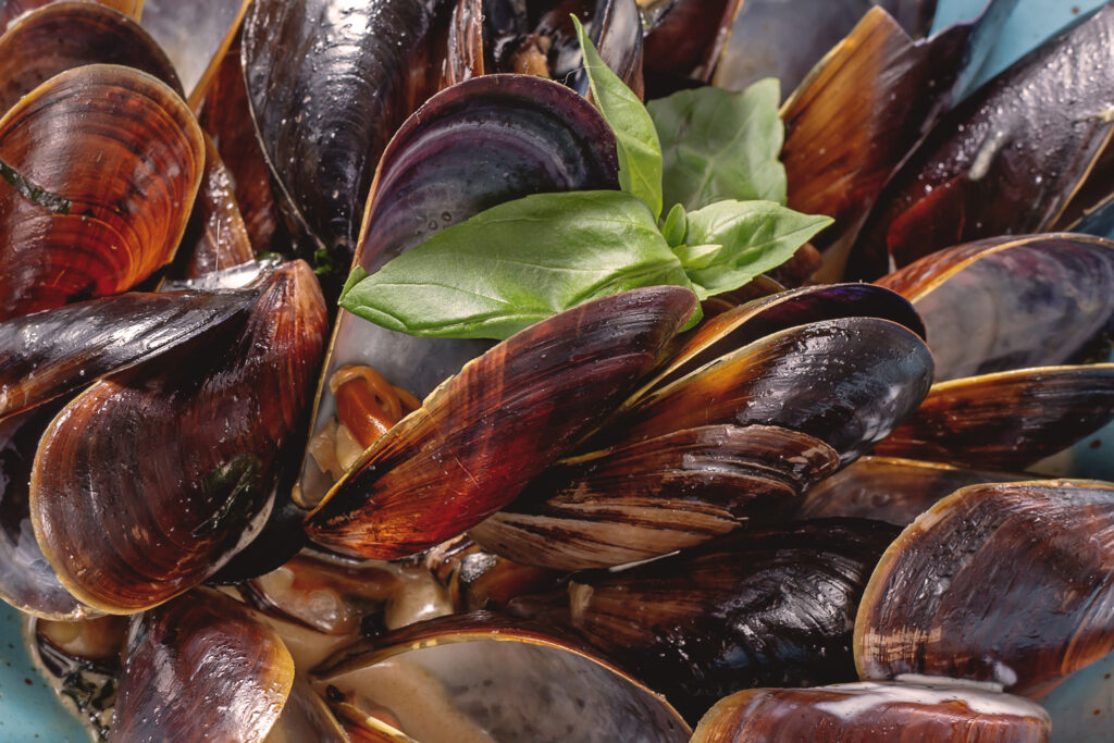 Cozze Tarantine, presidio Slow Food.