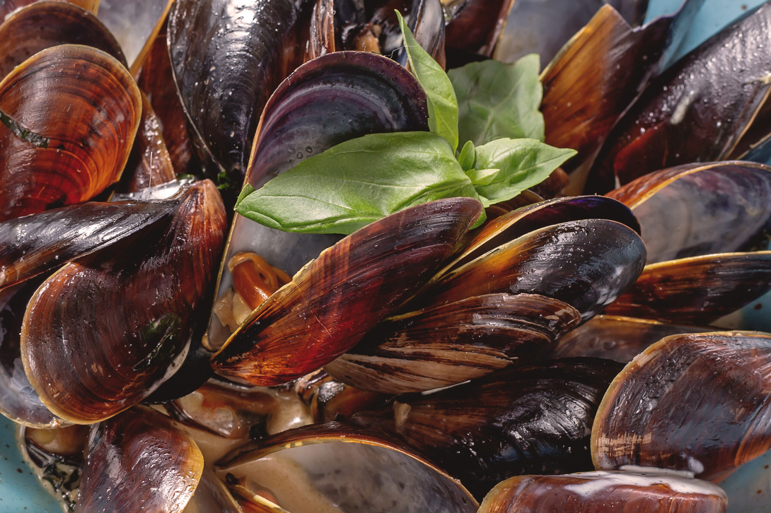Cozze Tarantine, presidio Slow Food.