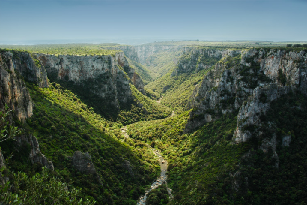 Gravina di Leucaspide